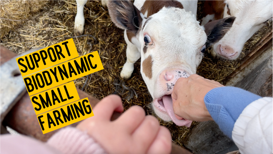 DONATE: a week of raw milk, yoghurt and butter and support biodynamic, sustainable farming